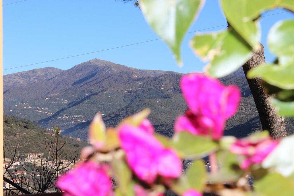 Tenuta Domine Imperia Habitación foto